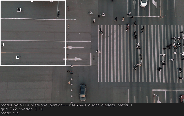 TileModel highlights each tile and overlays merged detections.